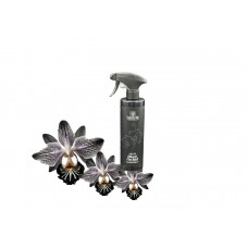 Aliejinis patalpų kvapas Black orchid, 500ml